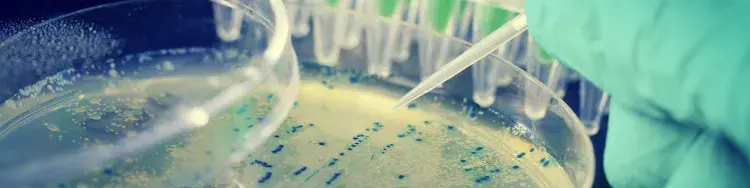 Fe y Ciencia, ¿Cuál es la Correcta?