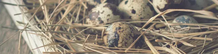 ¿Qué tiene que ver la Muerte de Jesús con la Pascua?