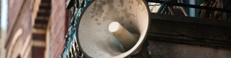 ¿Quiénes son los Evangélicos?