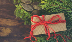 un regalo debajo del arbol