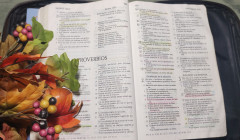 una biblia abierta